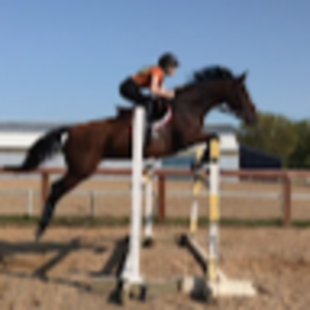 Meet your Posher, Stephanie